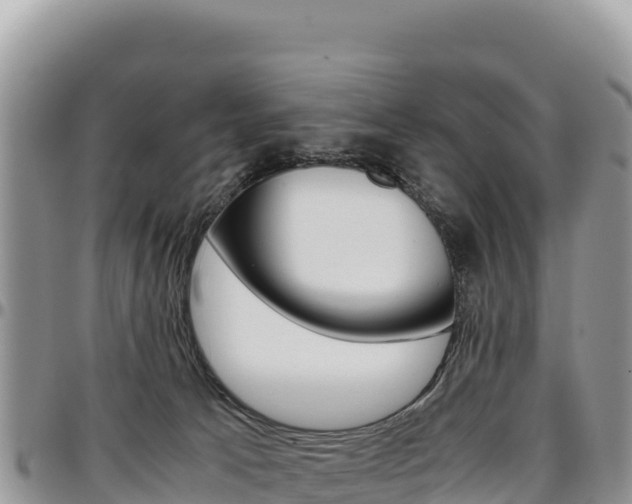 X0000097300033200802151133