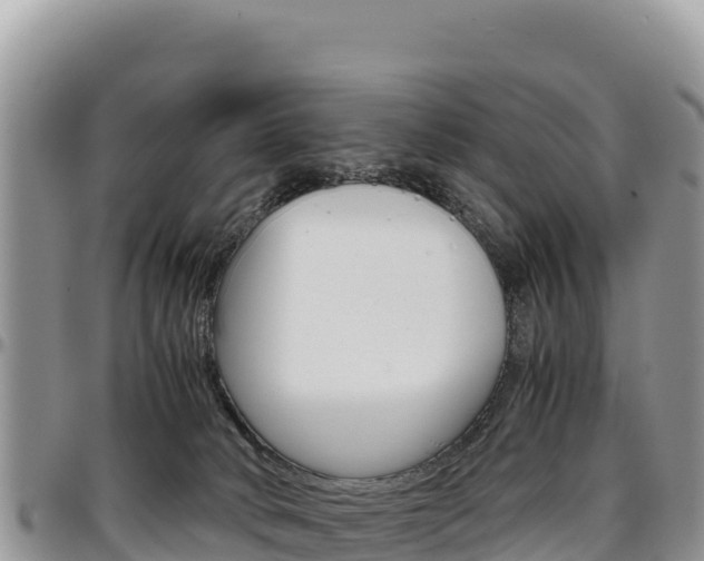 X0000097300034200802151133