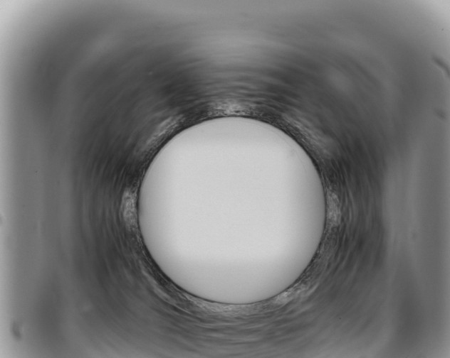 X0000097300036200802151133
