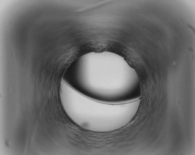 X0000097300037200802151133