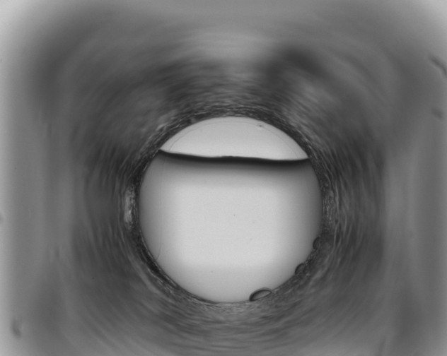 X0000097300038200802151133