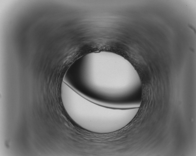 X0000097300039200802151133
