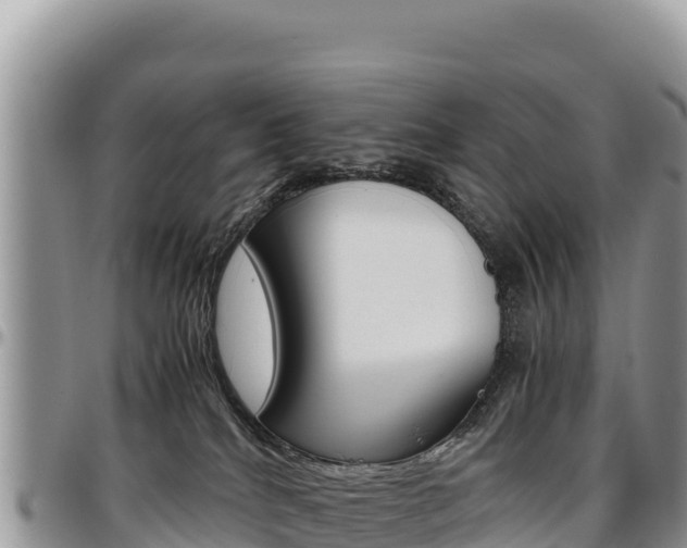 X0000097300040200802151133