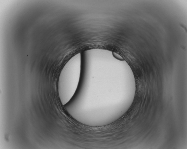 X0000097300042200802151133