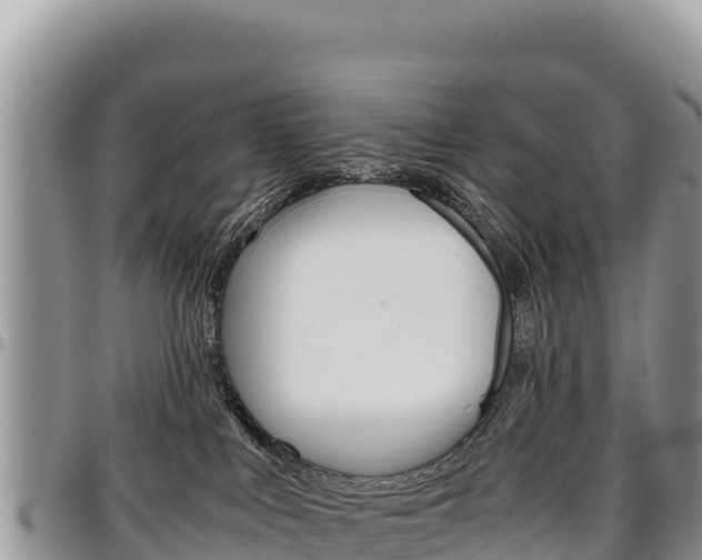 X0000097300043200802151133
