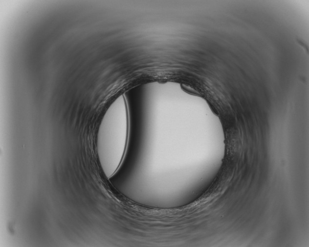 X0000097300044200802151133