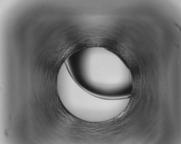 X0000097300045200802151133