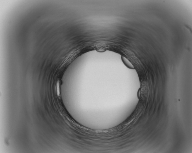 X0000097300046200802151133