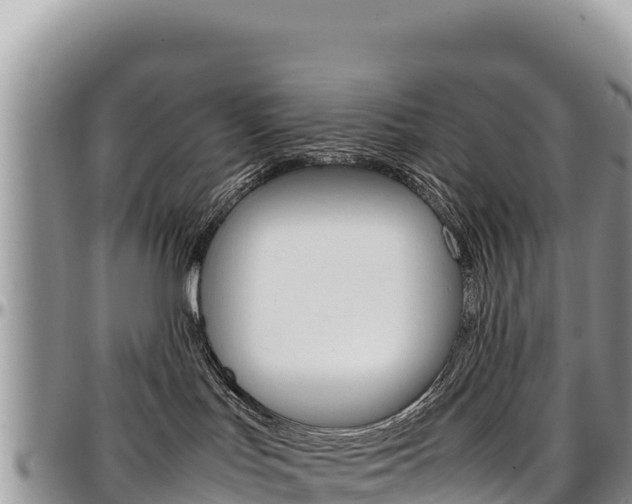 X0000097300047200802151133