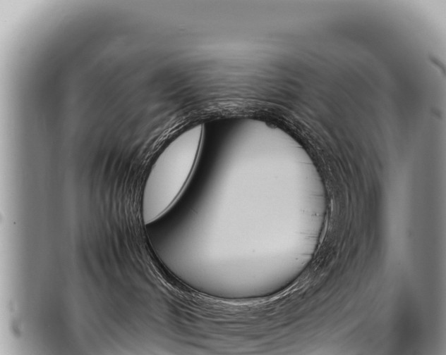 X0000097300048200802151133
