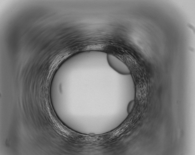 X0000097300049200802151132