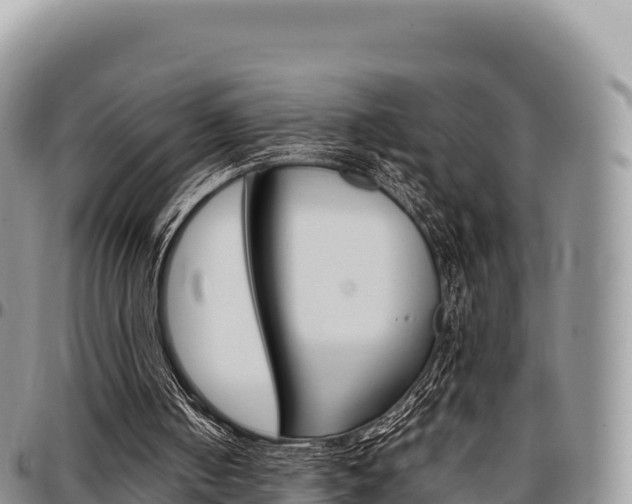 X0000097300050200802151132