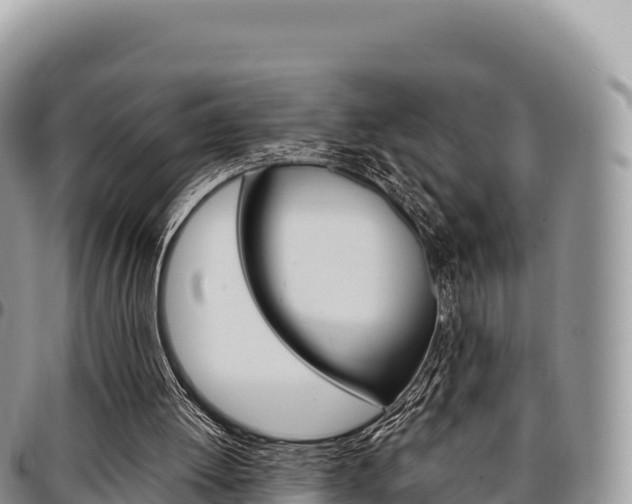 X0000097300052200802151132