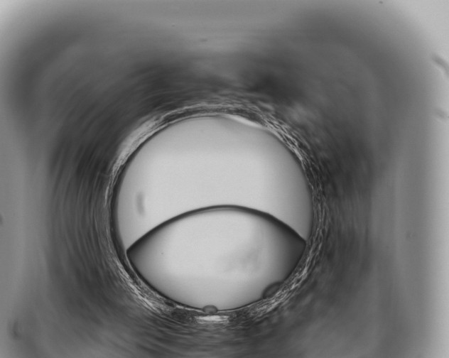 X0000097300053200802151132