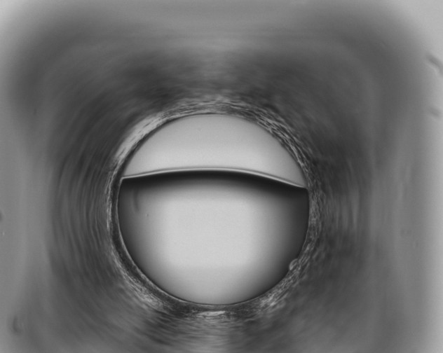 X0000097300054200802151132