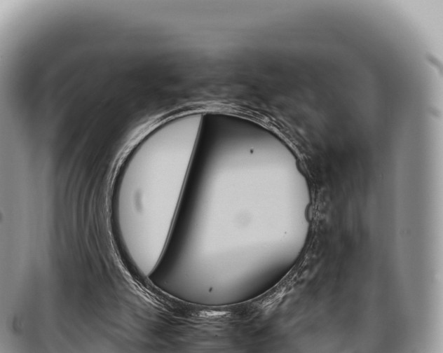 X0000097300055200802151132
