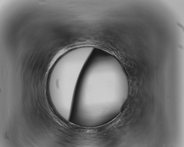 X0000097300056200802151132