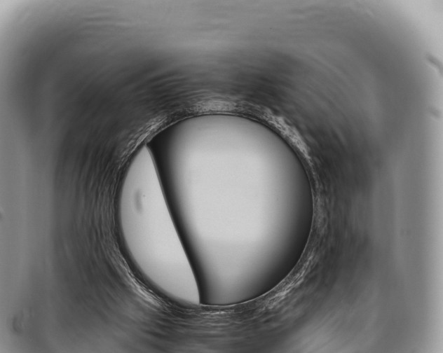 X0000097300057200802151132