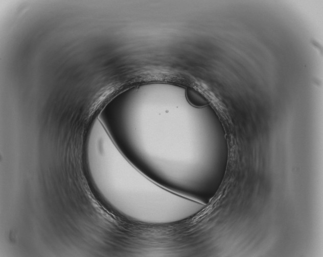 X0000097300058200802151132