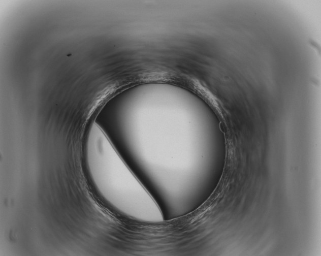 X0000097300059200802151132
