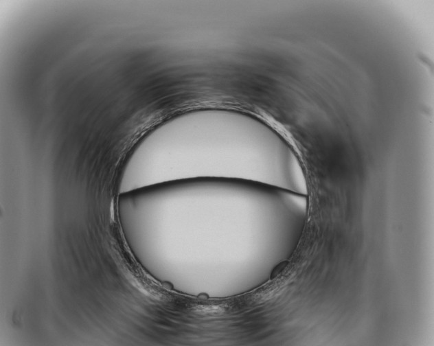 X0000097300061200802151132