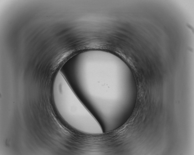 X0000097300062200802151132