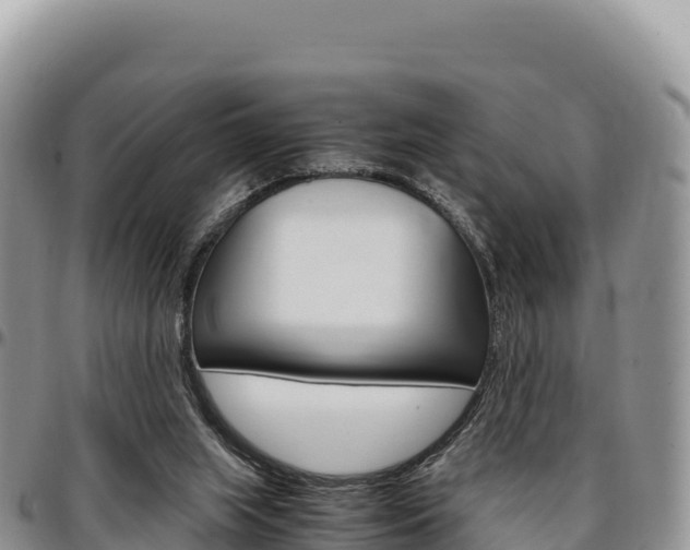 X0000097300063200802151132