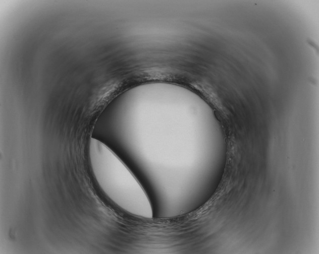 X0000097300066200802151132
