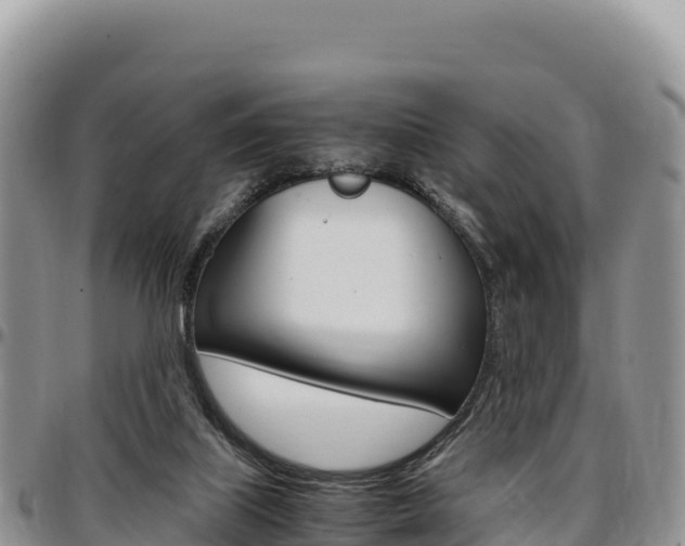 X0000097300067200802151132