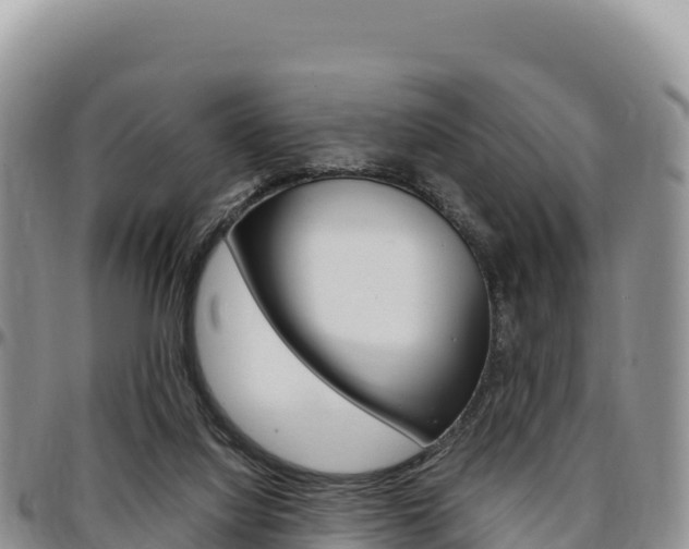 X0000097300068200802151132