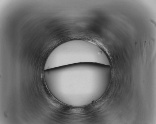 X0000097300069200802151132
