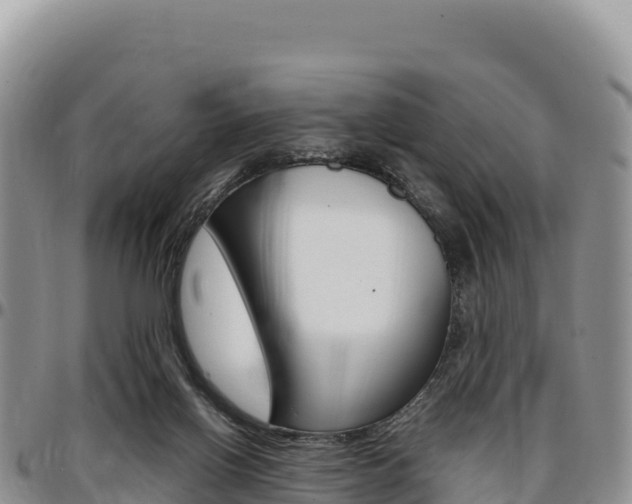 X0000097300070200802151132