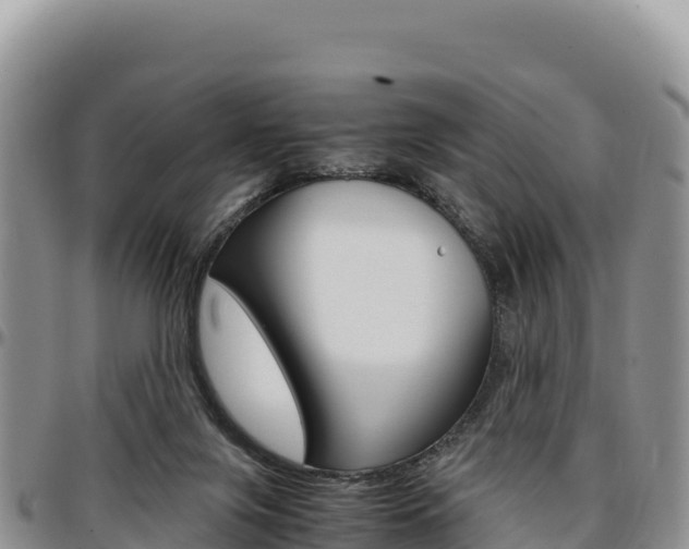 X0000097300071200802151132