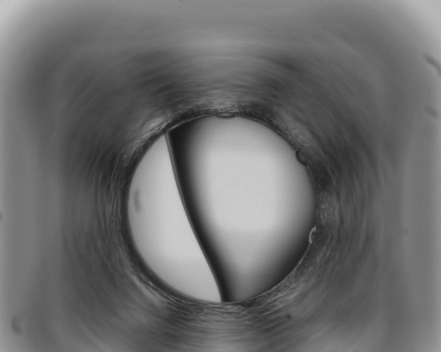 X0000097300072200802151132