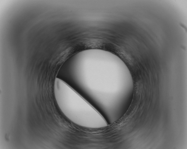 X0000097300073200802151132