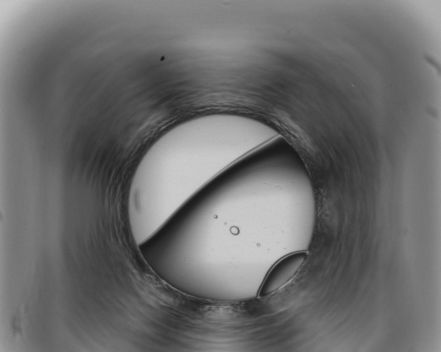 X0000097300074200802151132