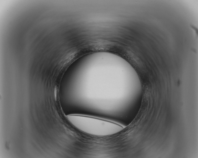 X0000097300076200802151132