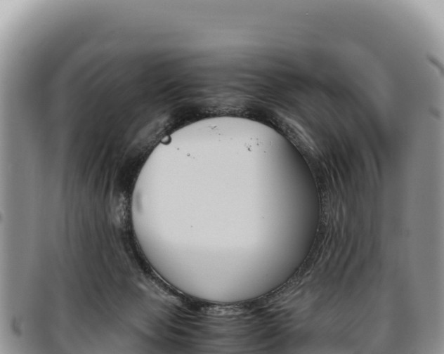 X0000097300077200802151132