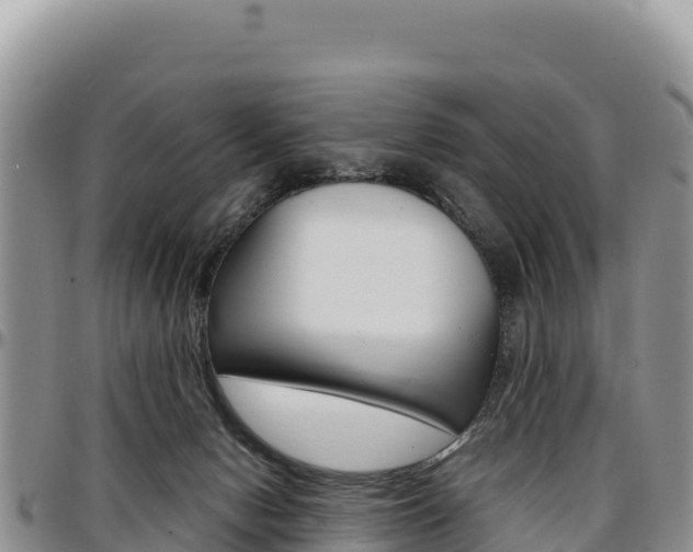 X0000097300078200802151132
