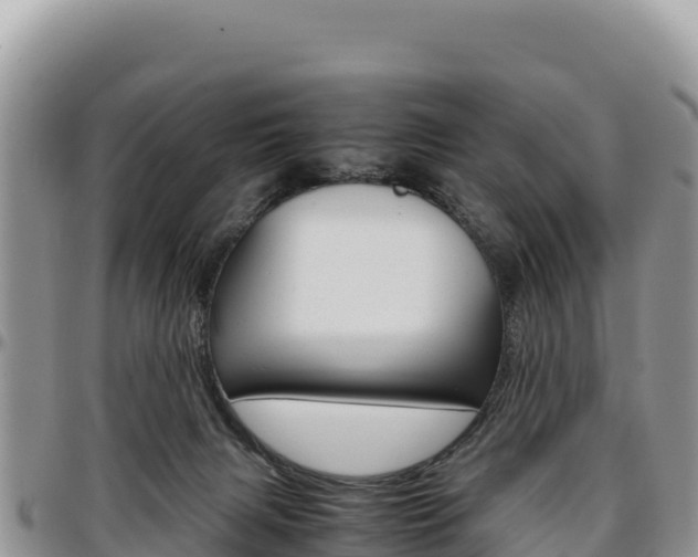 X0000097300079200802151132