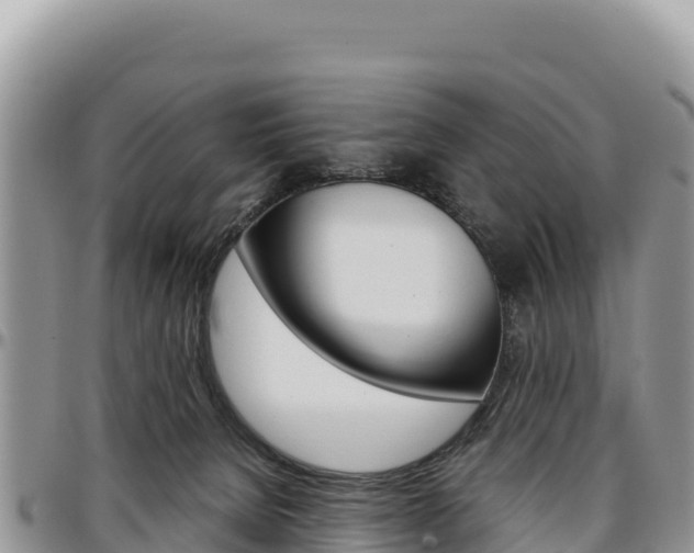 X0000097300080200802151132
