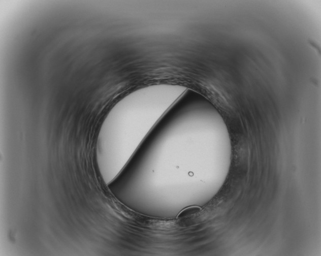X0000097300081200802151133