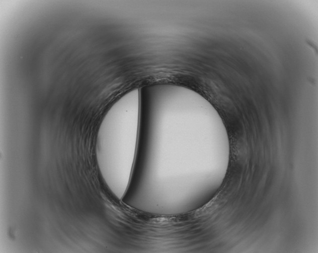 X0000097300082200802151133