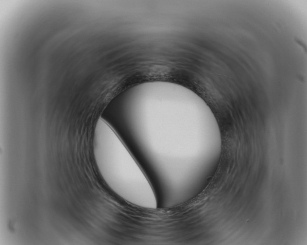 X0000097300083200802151133