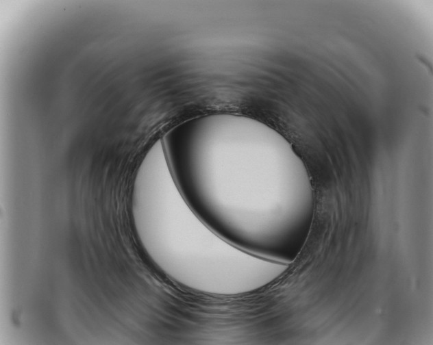 X0000097300084200802151133