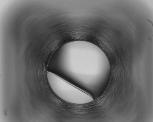 X0000097300085200802151133