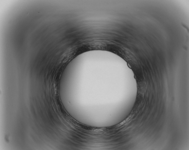 X0000097300086200802151133