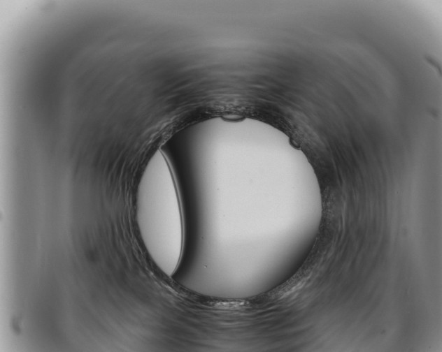 X0000097300089200802151133