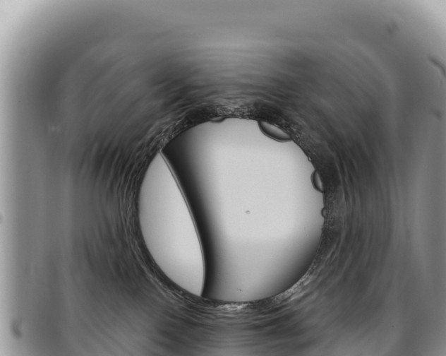 X0000097300090200802151133