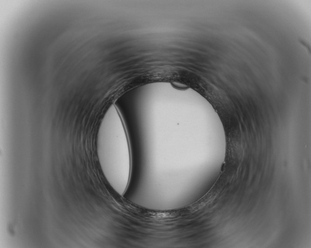 X0000097300091200802151133